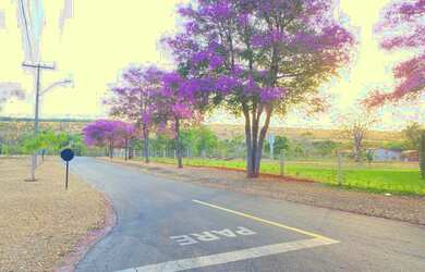 Imagem 1: Condomínio fechado chácara alto da Boa Vista senador Canedo