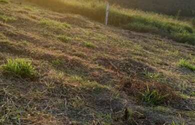 Imagem 2: Lote/Terreno para venda possui 1000 metros quadrados em Jardim Bela Vista...