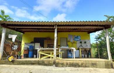 Imagem: Sítio 5 alqueires, Pomar, Casa ( Willian Ricardo