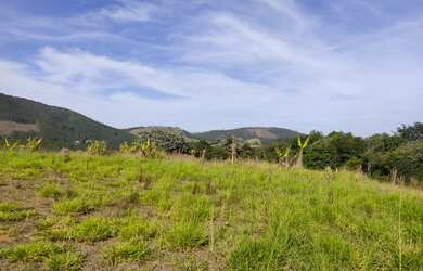 Imagem 10: Lote/Terreno para venda tem 500 metros quadrados em Jardim Maia - Guarulhos - SP