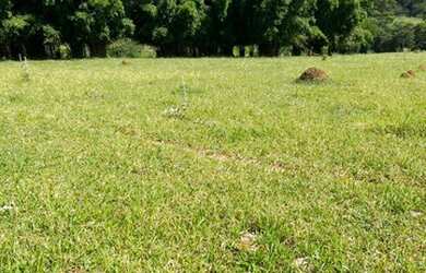 Imagem 14: 32R-Lote/Terreno para venda possui 500 metros quadrados em Centro - Atibaia...