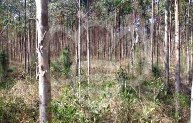 Imagem 12: Ótimo Lote/Terreno para venda tem 361538 m2 em Praia do Sol - Laguna...