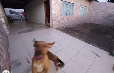 Imagem: A casa possui 2 Dormitórios, 1 Banheiro, 2 Vagas na garagem