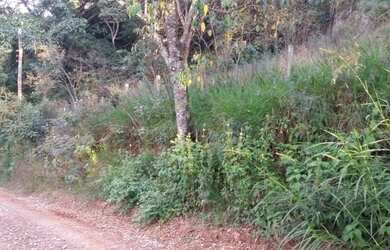 Imagem 10: Vendo lote maravilhoso por R$96.000,00 , com escritura e IPTU 2022 quitado