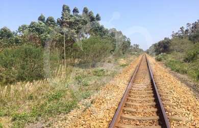 Imagem 7: Ótimo Lote/Terreno para venda tem 361538 m2 em Praia do Sol - Laguna...