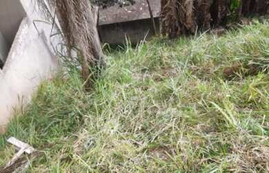 Imagem 3: Lote/Terreno para venda possui 250 metros quadrados