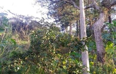 Imagem 11: Vendo lote maravilhoso por R$96.000,00 , com escritura e IPTU 2022 quitado