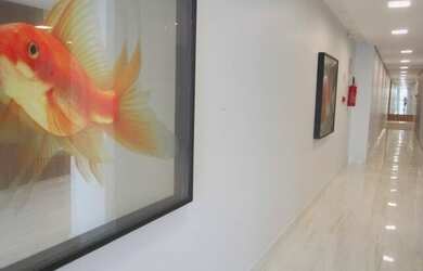 Imagem 4: 03 quartos armários, suíte, banho social, cozinha com armário amplo...