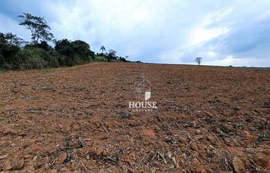Imagem 3: Terreno à venda, 43000 m² por R$ 4.200.000,00 - Roseira - Mogi Guaçu/SP