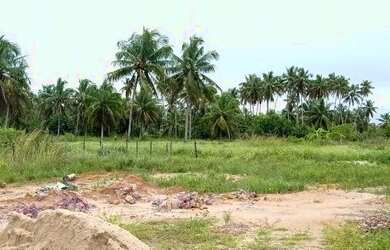 Imagem 3: 3 lotes a 300 metros da Praia do Toque em Sao Miguel dos Milagres