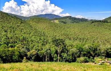 Imagem 12: Terrenos em Piracaia de 1000m²