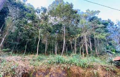 Imagem: O terreno possui 2736m² de Área e está localizado em Campo