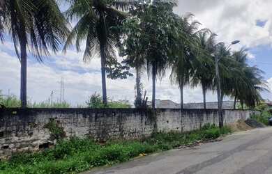 Imagem 2: Terrenoessejana. 1.650m² de Área