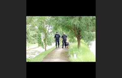 Imagem 4: Ágio de lote. 450m² de Área