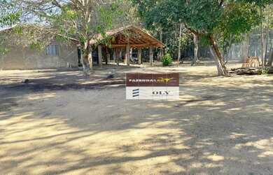 Imagem 3: FAZENDA EXTRA 1.880 HECTARES - REGIÃO DE FORMOSO DO ARAGUAIA - TO