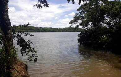 Imagem: A fazenda possui 323m² de Área e está localizado em Santa