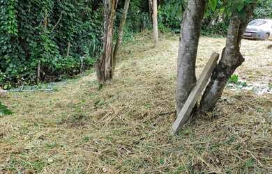 Imagem 5: Lote/Terreno para venda com 330 metros quadrados em Jardim Paulista -...