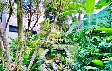 Imagem 5: Linda casa no Alto da Lapa