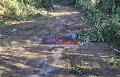 Imagem 14: VOCÊ E UM CAMPO INTEIRO DE POSSIBILIDADES - Fazendinhas 20.000 m² em...