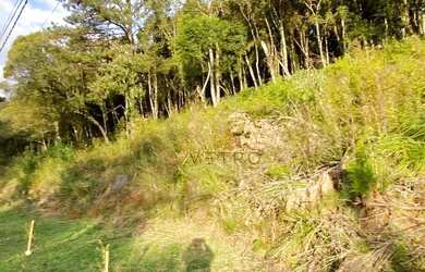 Imagem 8: Terreno à Venda em Canela