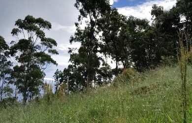 Imagem: O terreno possui 1000m² de Área e Imóvel novo e está localizado