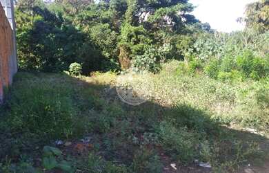 Imagem 1: Terreno - venda no bairro Alto da Boa Vista