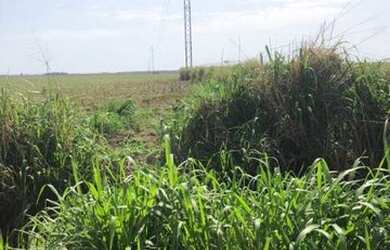 Imagem 3: Terreno no Ipiranga do norte