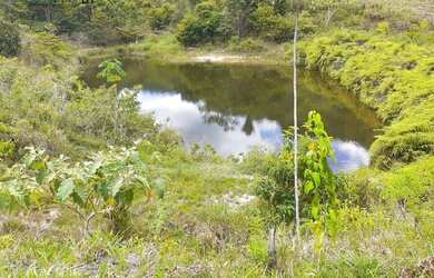 Imagem: A fazenda possui 1.330.000m² de Área e está localizado em