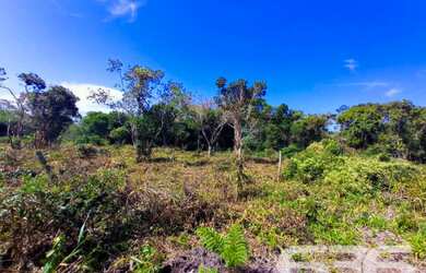Imagem 6: Terreno | Balneário Barra do Sul