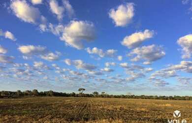 Imagem: A fazenda possui 5000000-0m² de Área e está localizado em