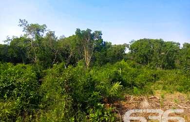 Imagem 2: Terreno | Balneário Barra do Sul