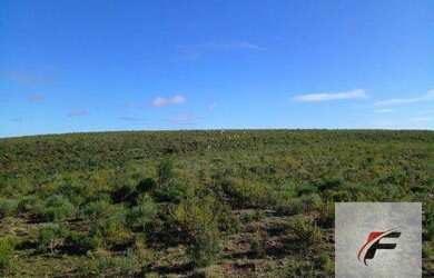 Imagem 5: Fazenda à venda, 1180000 m² por R$ 1.770.000 - Prado - Santana do Livramento/RS