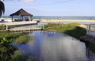 Imagem 3: Terreno à venda, 2779 m² por R$ 6.000.000,00 - Tamandaré - Tamandaré/PE