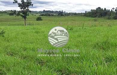 Imagem: A fazenda possui 920000m² de Área e está localizado em Machadinho