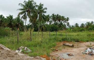 Imagem 4: 3 lotes a 300 metros da Praia do Toque em Sao Miguel dos Milagres