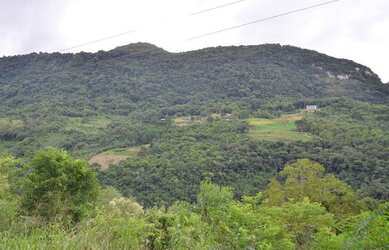 Imagem 1: Sítio à venda, 130000 m² por R$ 1.085.000,00 - Pedra Branca - Gramado/RS