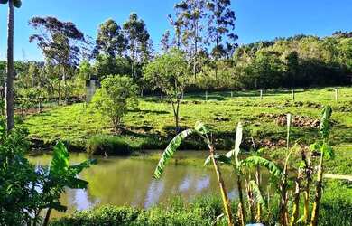 Imagem 8: Lindo sitio 2.500.00m², todo cercado, com belo açude, frente no asfalto