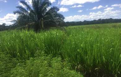 Imagem: A fazenda possui 871.200m² de Área e está localizado em