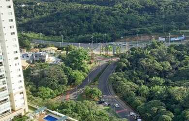 Imagem 16: Oportunidade no Greenville