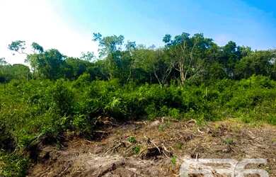 Imagem 1: Terreno | Balneário Barra do Sul