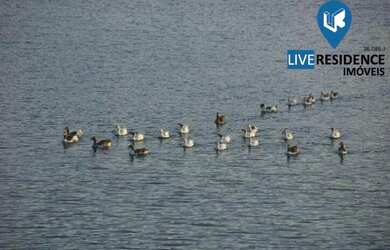 Imagem 9: Aceita Permuta na Zona Sul de SP, terreno em condomínio fechado