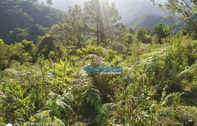 Imagem 13: Área à venda, 605000 m² por R$ 450.000,00 - Zona Rural - Itaperuçu/PR