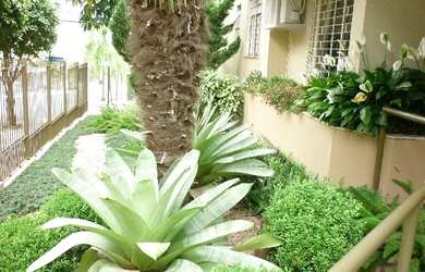 Imagem 11: Apartamento Operário Novo Hamburgo