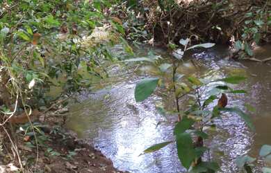 Imagem: A fazenda possui 200m² de Área e está localizado em Senador