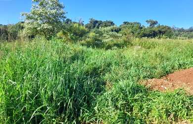 Imagem 6: Vendo lote. 1.000m² de Área