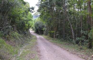 Imagem 5: Sítio à venda, 130000 m² por R$ 1.085.000,00 - Pedra Branca - Gramado/RS