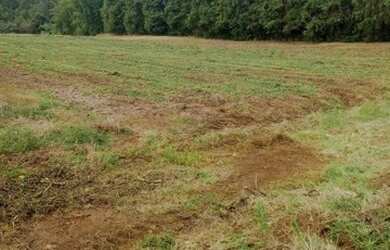 Imagem: O terreno possui 2000m² de Área e está localizado em São