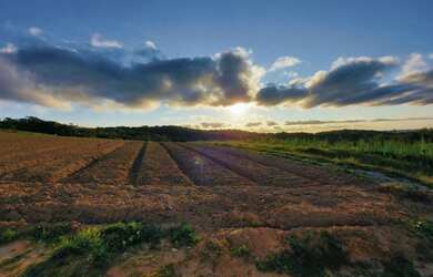 Imagem 10: Lote/Terreno para venda com 500 metros quadrados em Veloso - Osasco -...