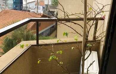 Imagem 11: Apartamento à venda ou para alugar 198 metros - Agua Fria - São Paulo -SP