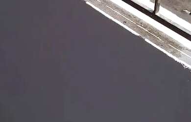 Imagem: A casa possui 1 Dormitório, 1 Banheiro e 48m² de Área e está